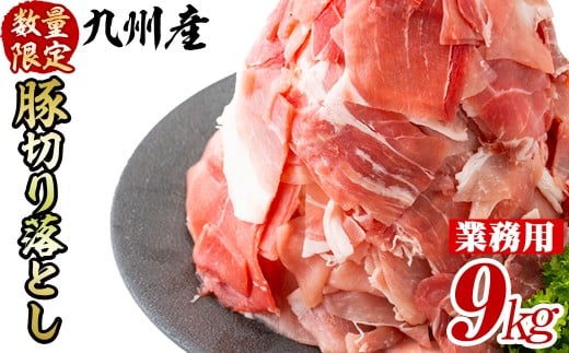 【工場直送 業務用】九州産豚切り落とし＜計9kg(300g×30P)＞ c0-137
