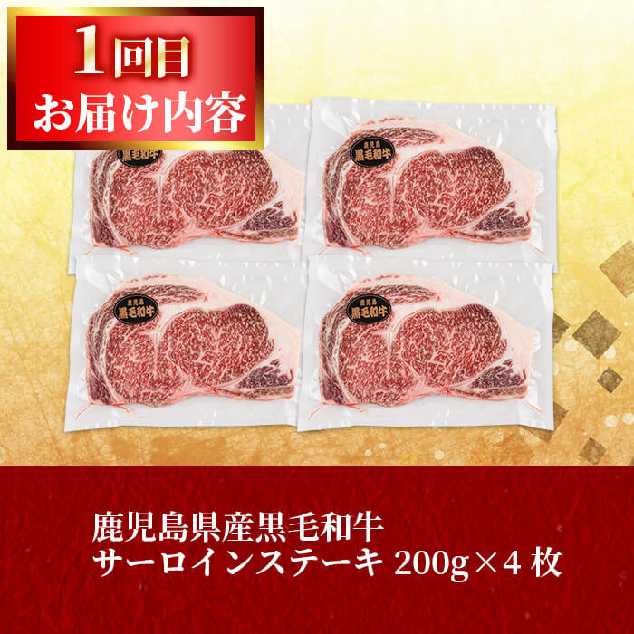【定期便全2回】鰻と肉の定期便！ステーキ4枚と鰻蒲焼4尾をお届け！ t0057-004