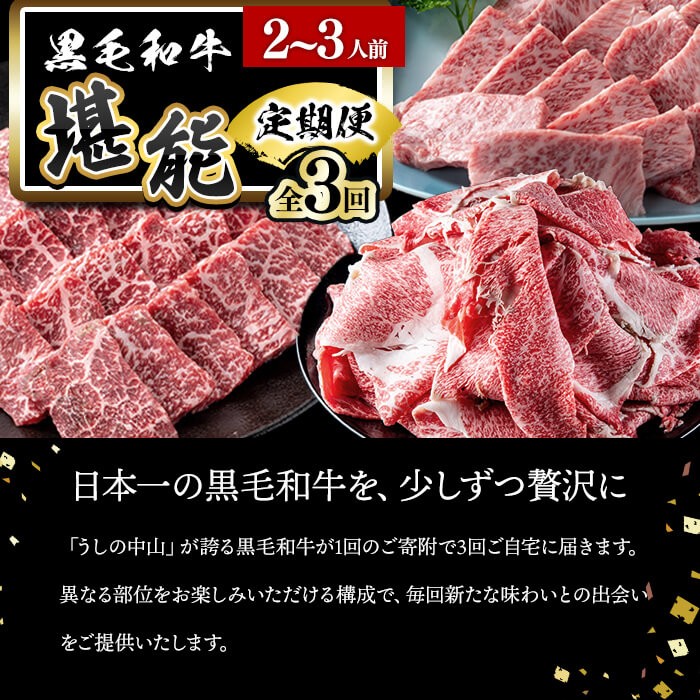 【定期便全3回】＜A4・A5等級＞黒毛和牛堪能〈お試し〉定期便（2〜3人分）総重量900g 鹿児島県産 黒毛和牛 和牛 肉 牛肉 国産 九州産 鹿児島県産 焼肉 焼き肉 BBQ ランキング 人気 A4 A5 赤身 切り落とし カルビ お楽しみ 食べ比べ 2人前 3人前 t0035-002