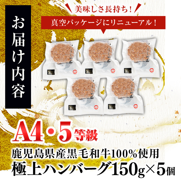 ＜A4・A5等級＞鹿児島県産 黒毛和牛100%使用 極上ハンバーグ(計750g/150g×5個) a2-086