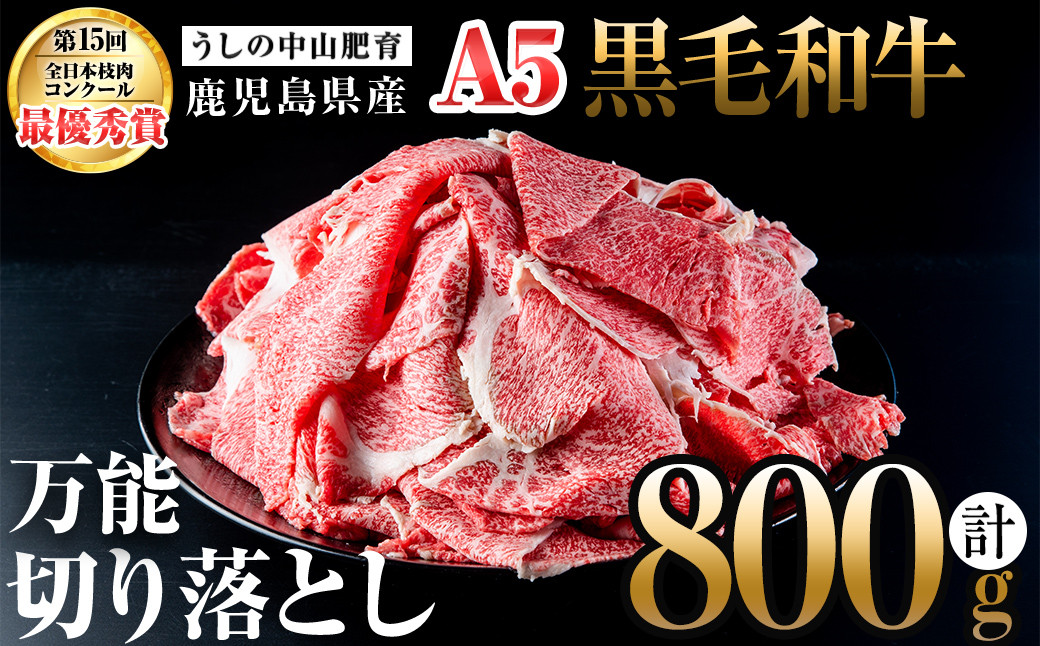 ＜A5等級＞鹿児島県産 黒毛和牛万能切り落とし(計800g /400g×2P) a3-210