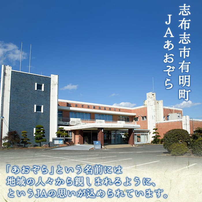 a6-058 旬の野菜を閉じ込めた「ふるさと便」