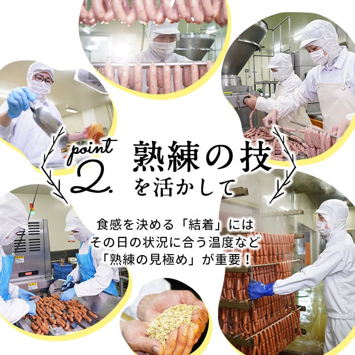 ã1æçºéäºå®ããèš³ããã»æ¥åçšã鹿å
å³¶é»è±ããã³ããŠã€ã³ã㌠èš1.8kg(900gÃ2è¢) a1-091-01