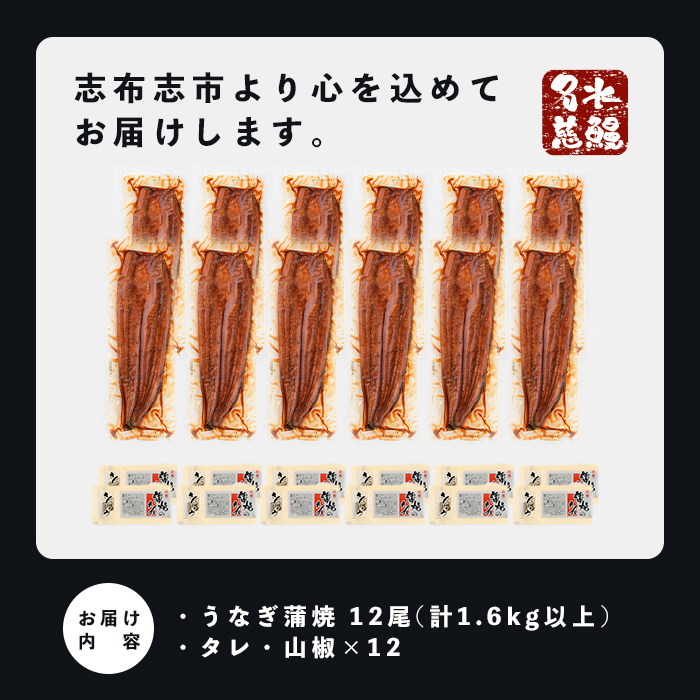 【数量限定】鹿児島県産うなぎ蒲焼 名水慈鰻 12尾(1尾約120g以上)＜計約1.6kg以上＞ f2-003