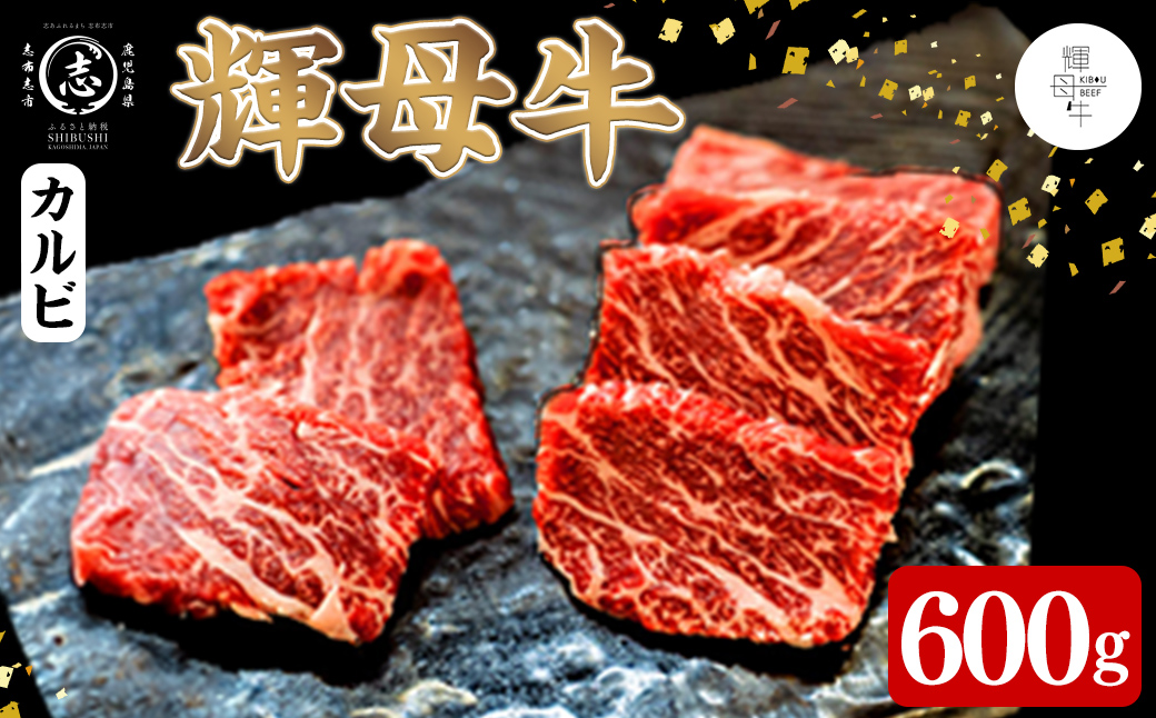輝母牛焼肉用(カルビ)(3人前600g/600g×1個) b9-005
