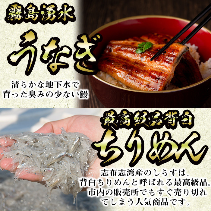 【定期便全３回】志布志市福袋！鰻とおかずいろいろセット(霧島湧水鰻2尾＆釜揚げちりめん＆黒豚ウデ切り落とし＆ウーロン紅茶＆角煮飯) t0084-015