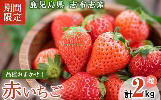 〈先行予約受付中!〉鹿児島県産いちご! 品種おまかせ赤いちご8Pセット(計2kg・約270g×8P) c0-016