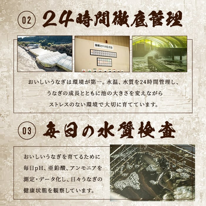 ãã®ãã察å¿ããæ°ééå®ã鹿å
å³¶çç£ãäŒåŽç°ã®ããªãäžïŒ150g以äžïŒÃ2å°Ÿ(300g以äž)ããã¬ãã¢ã ã®ããç®±ã a9-030