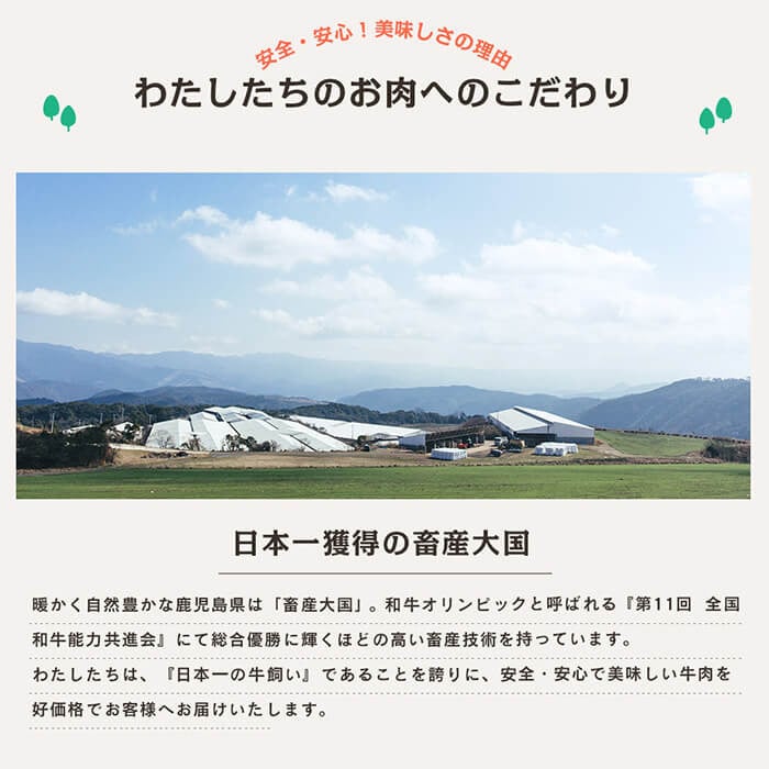 鹿児島県産黒毛和牛「薩摩牛極」スライス3種盛り600g(300g×2P) a6-035