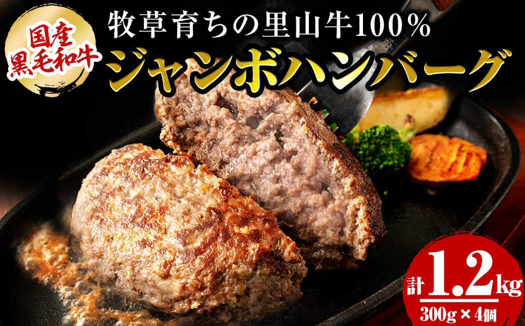 国産黒毛和牛 牧草育ちの里山牛100%使用！手作りジャンボハンバーグ 1.2kg (300g×4個） a5-283