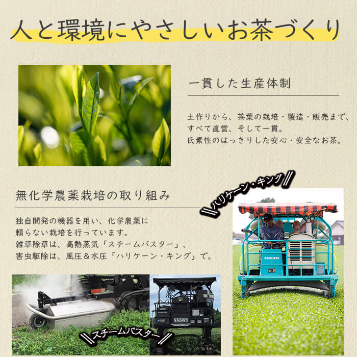 【数量限定】受賞歴多数！カクホリ紅茶べにふうき・カクホリ烏龍茶べにふうき(各20g×1袋・計40g) a0-340