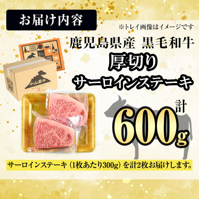 【数量限定】A4・5等級 鹿児島県産黒毛和牛【厚切り】サーロインステーキ 計600g（300g×2枚）e0-056