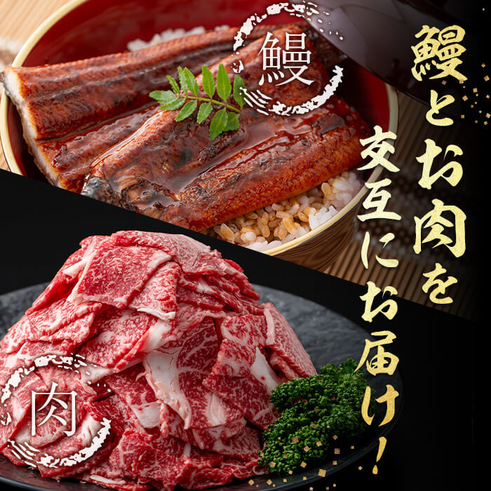 【定期便全6回】鰻と肉の贅沢定期便！鰻とお肉が交互に届くお楽しみ便 t0100-029