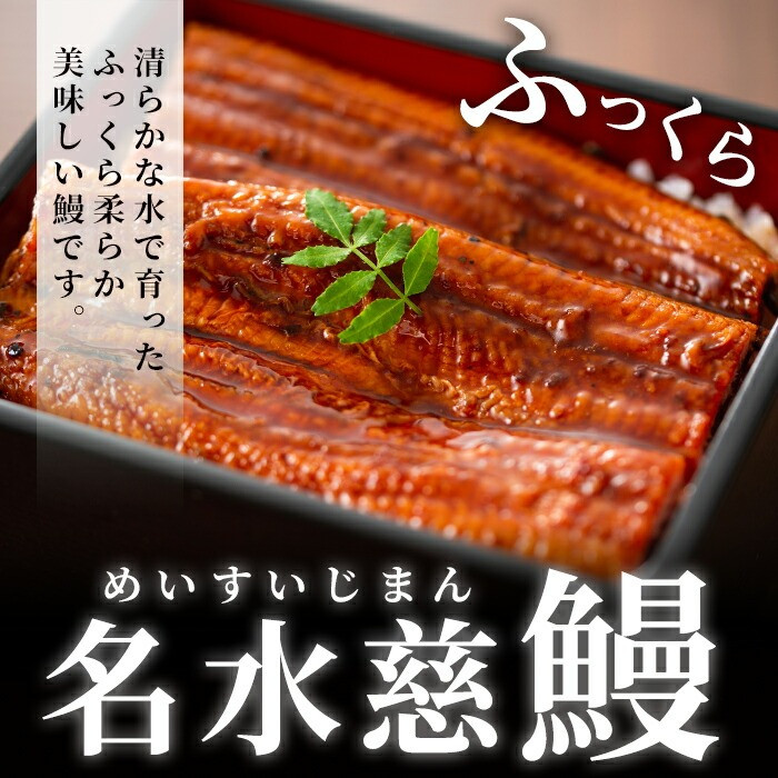 【定期便全3回】志布志市福袋！鰻とお肉のおかず(名水慈鰻2尾＆里山牛ハンバーグ4個＆黒豚MEGUMIウインナー2P＆お茶セット 総計約3kg) t0084-010
