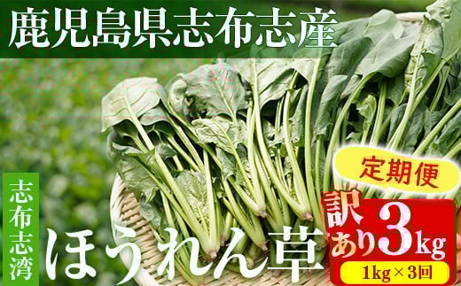【定期便3回】【数量限定・訳あり】志布志湾ほうれん草(計3kg 1kg×3回) t0021-003