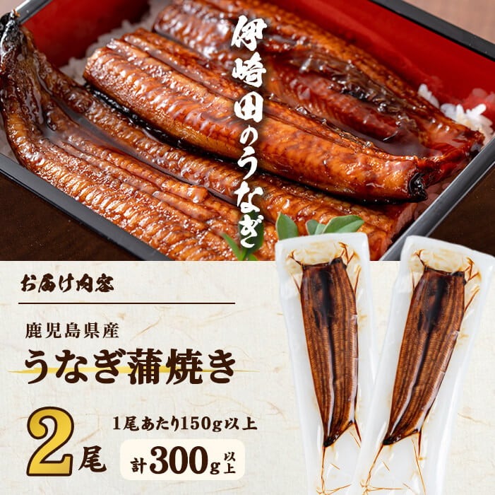 ãã®ãã察å¿ããæ°ééå®ã鹿å
å³¶çç£ãäŒåŽç°ã®ããªãäžïŒ150g以äžïŒÃ2å°Ÿ(300g以äž)ããã¬ãã¢ã ã®ããç®±ã a9-030