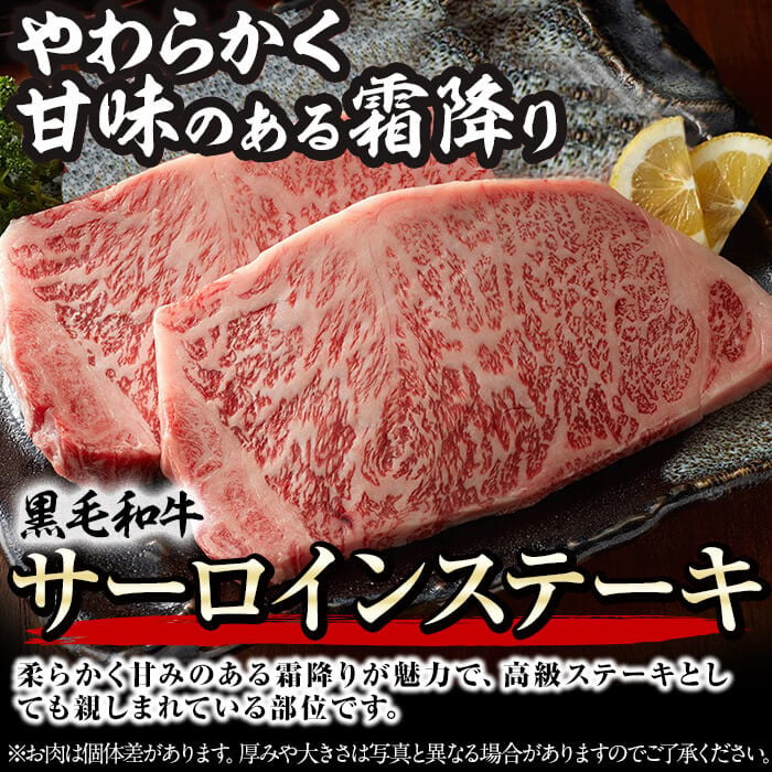 黒毛和牛ステーキ肉高級部位2種＜リブロース・サーロイン＞食べ比べ(計900g) b8-045