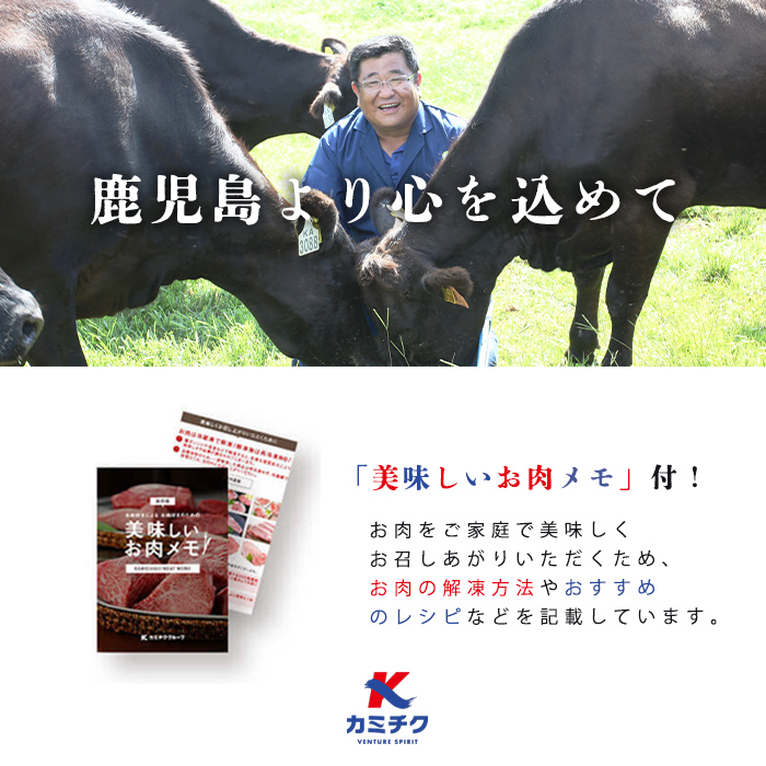 【小分け】＜A5等級＞鹿児島県産 黒毛和牛 牛肉 赤身 焼肉 (200g×5P/計1kg) 牛肉 肉 小分け 鹿児島県産 国産 A5 赤身 焼肉 焼き肉 黒毛和牛 BBQ b44-001