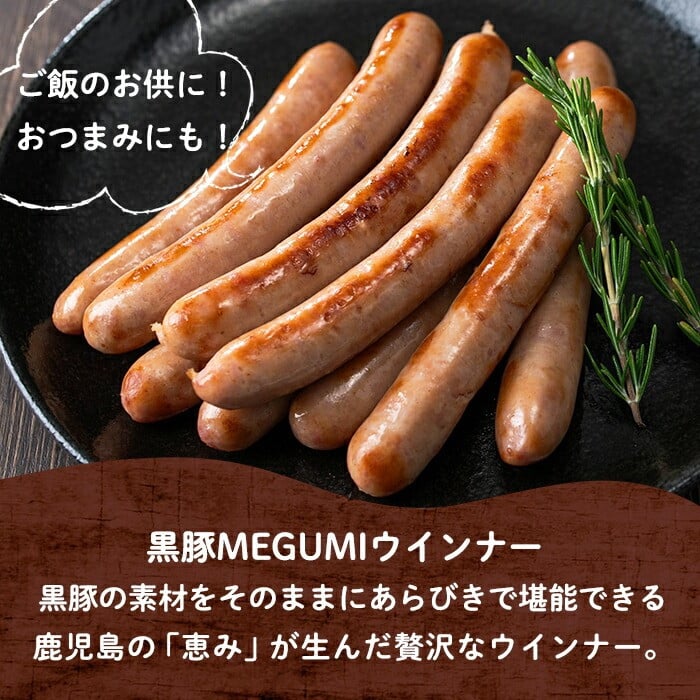 【定期便全3回】志布志市福袋！鰻とお肉のおかず(名水慈鰻2尾＆里山牛ハンバーグ4個＆黒豚MEGUMIウインナー2P＆お茶セット 総計約3kg) t0084-010
