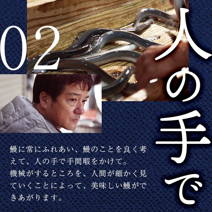 熟練の技が冴える！うなぎの柳澤 流水桜うなぎの蒲焼き3尾(計510g) b2-016
