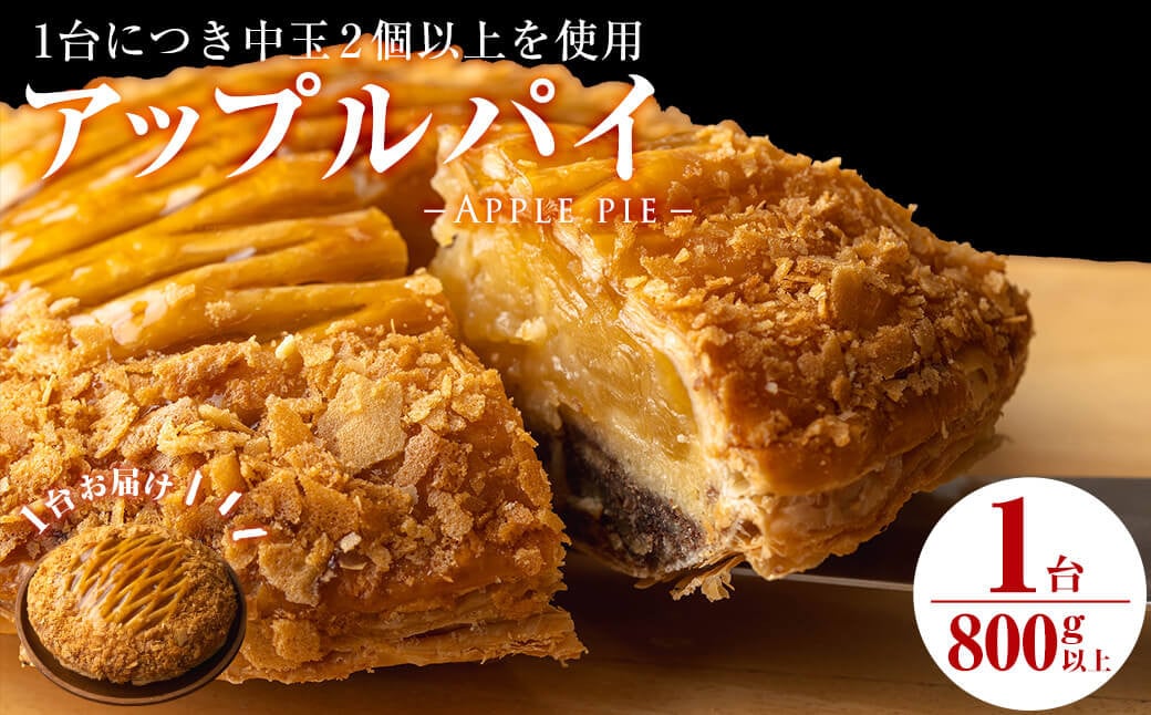 アップルパイ5号(直径17.5cm 800g以上) a4-059