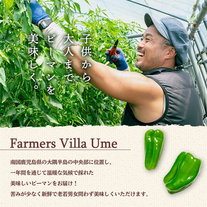 å¿åžå¿ç£èš³ããããŒãã³(1kg) ããŒãã³ èš³ãã éè ããã ãŽãŒãŸã æ°é®® åžžæž© åžžæž©ä¿å ããã è©°ãåãã éè³ éè³åè³ éèãœã ãªãšãµããã p5-050