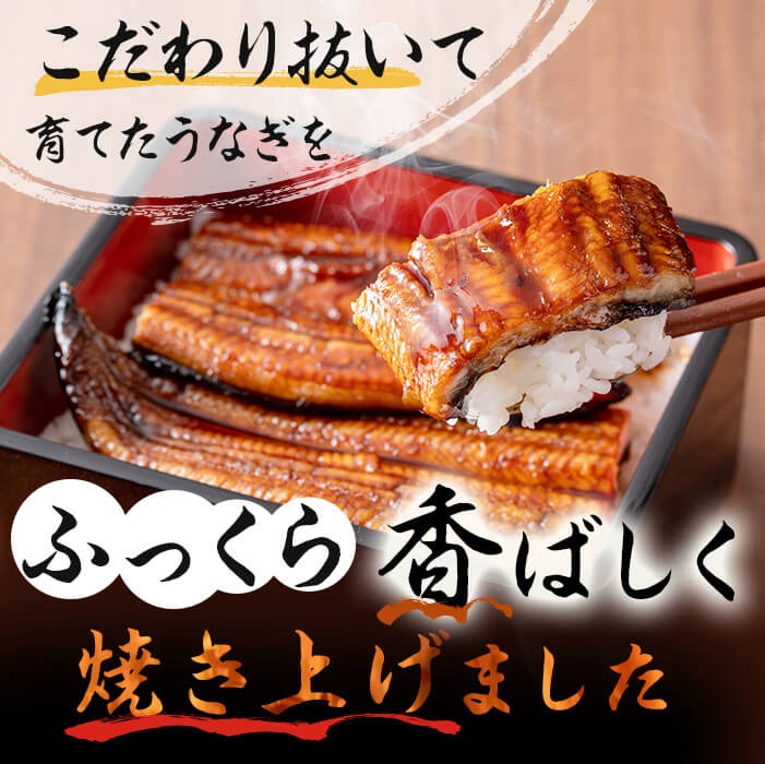 鹿å
å³¶çç£ äŒåŽç°ã®ããªãè²çŒå»ã¿ããªã 50gÃ20è¢(èš1kg) é°» ããªã ãŠãã® ããã¿é°» å»ã¿ããªã å»ã¿é°» è²çŒã ãã°ãã åœç£ ä¹å·ç£ 鹿å
å³¶çç£ å·å ã¬ã³ãž ç°¡å ããªäžŒ ã²ã€ãŸã¶ã æ£è ããã å°åã c5-040
