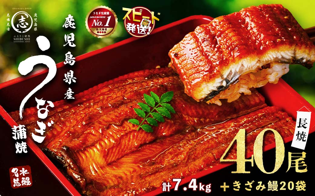 鹿児島県産うなぎ蒲焼 名水慈鰻 40尾(1尾約160g)+きざみ鰻20袋(1袋約50g)＜合計約7.4kg＞ wb82-001