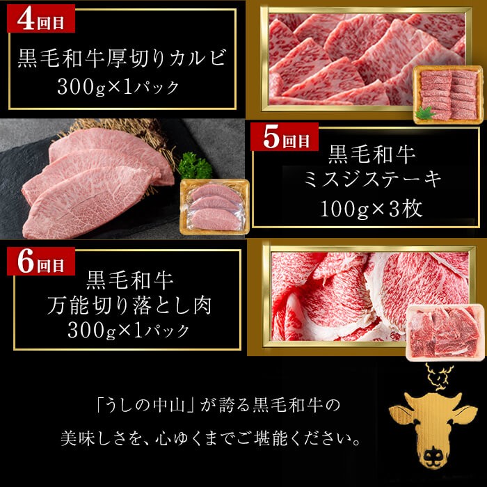 【定期便全6回】＜A4・A5等級＞黒毛和牛堪能〈満足〉定期便（2〜3人分）総重量1.95kg 鹿児島県産 黒毛和牛 和牛 肉 牛肉 国産 九州産 鹿児島県産 焼肉 焼き肉 BBQ A4 A5 赤身 切り落とし カルビ お楽しみ 食べ比べ ハンバーグ ミスジ 霜降り ステーキ 2人前 3人前 t0069-001