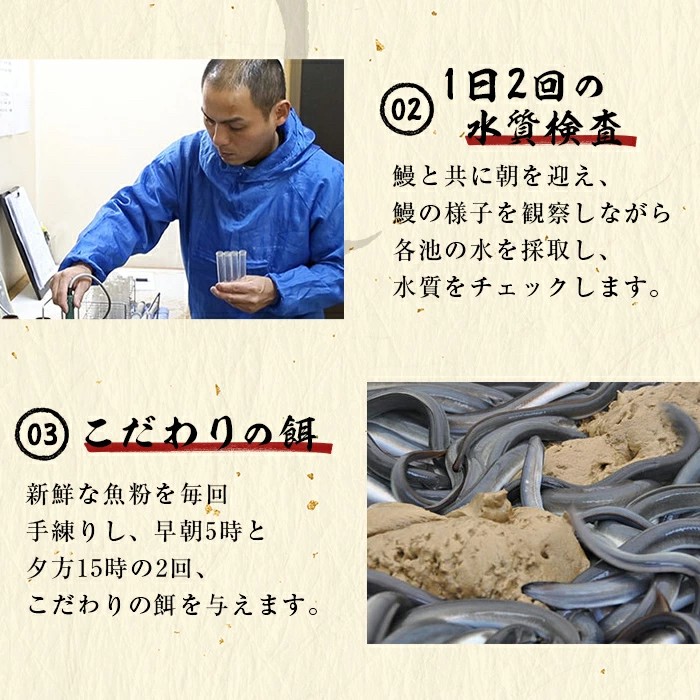 【志布志市人気No.1お礼の品】霧島湧水鰻の蒲焼き 140g以上×3尾＜計420g以上＞ うなぎ 鰻 ウナギ 3尾 国産 九州産 蒲焼き かばやき 冷凍 うな重 ひつまぶし タレ 山椒 ランキング 人気 a6-072