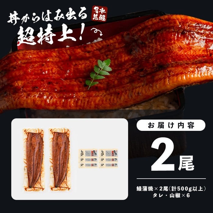 【志布志市制20周年記念】【10営業日以内に発送】【数量限定】鹿児島県産うなぎ蒲焼 名水慈鰻 超特上 2尾(1尾あたり236~270g)＜計500g以上＞ うなぎ 鰻 ウナギ 2尾 国産 蒲焼 かばやき 冷凍 真空 真空パック 無頭 うな重 ひつまぶし タレ 山椒 a5-352