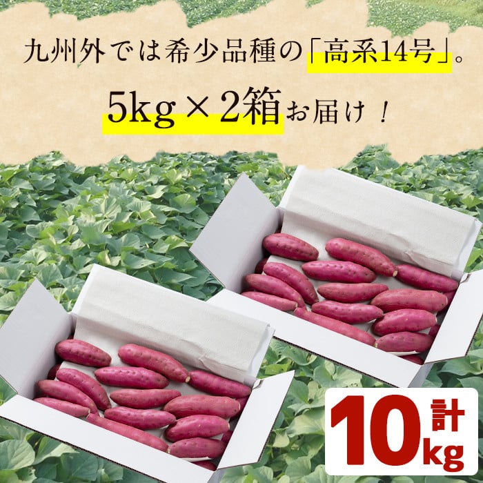 é«ç³»14å·ïŒãã¯ãã¯ãã€ãŸãã(ããã¯ã¹ãµã€ãº5kgÃ2ç®±ã»èš10kg) a5-005