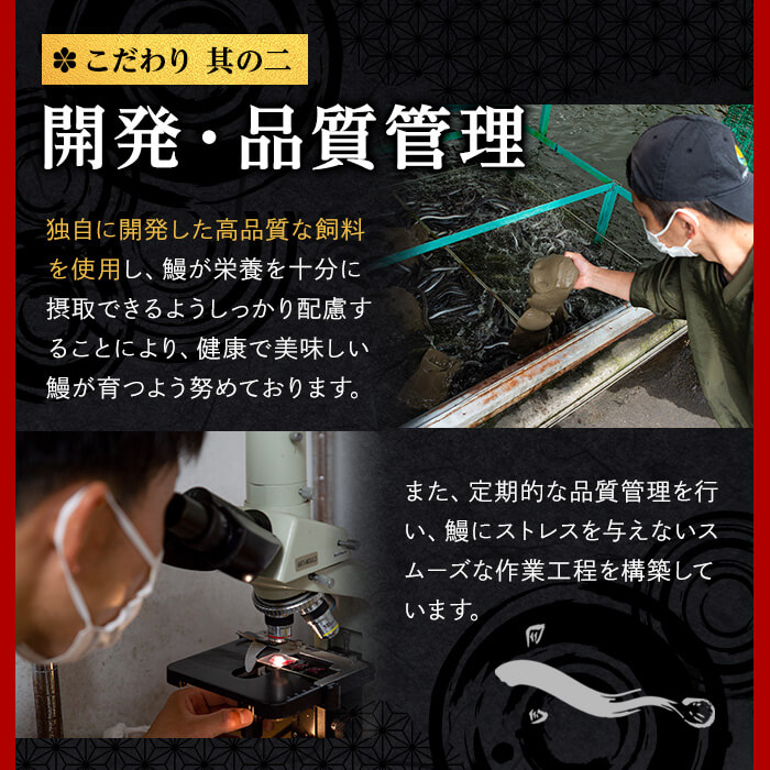 日ノ本一の鰻贅沢セット！(うなぎ蒲焼ハーフカット、きざみ鰻、肝串) ウナギ 国産 九州産 かばやき 冷凍 うな丼 うな重 ひつまぶし a5-312