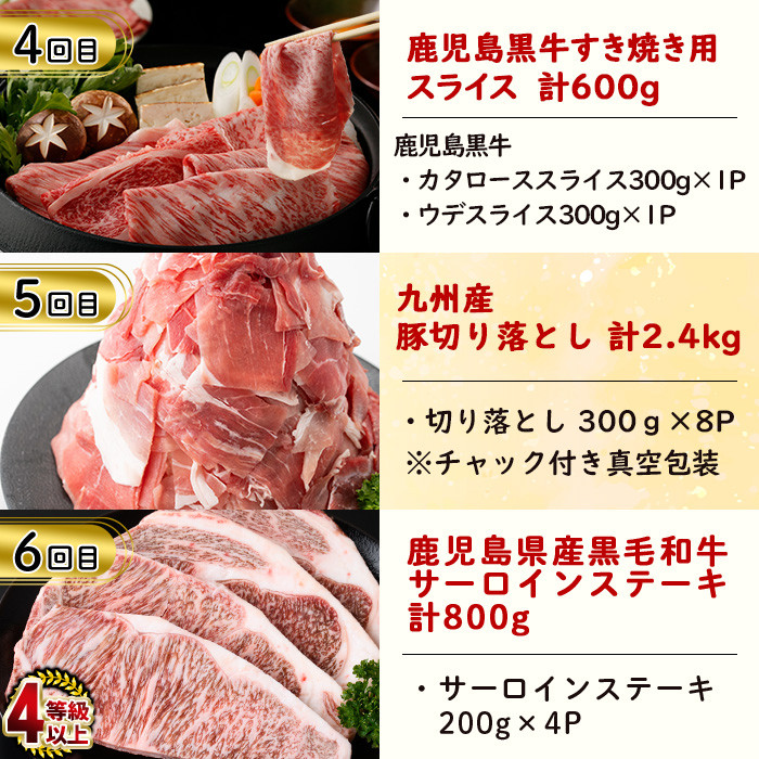 ãå®æäŸ¿ã»å
š6åããèã®ã楜ãã¿å®æäŸ¿ ç·é9.8kg! çè è±è 鹿å
å³¶çç£ ä¹å·ç£ åœç£ 黿¯åç ã¹ããŒã ãããã ããã¶ããã¶ ãšãã〠BBQ t0114-001