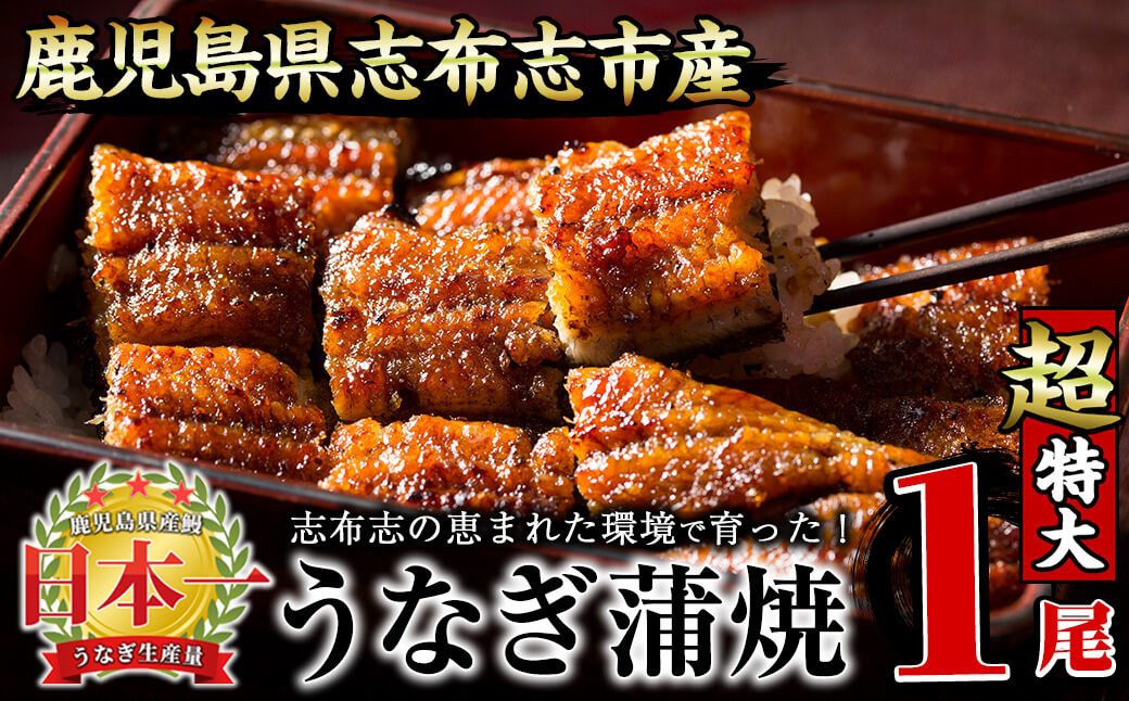 【数量限定】うなぎの大楠＜超特大＞1尾190g a2-075