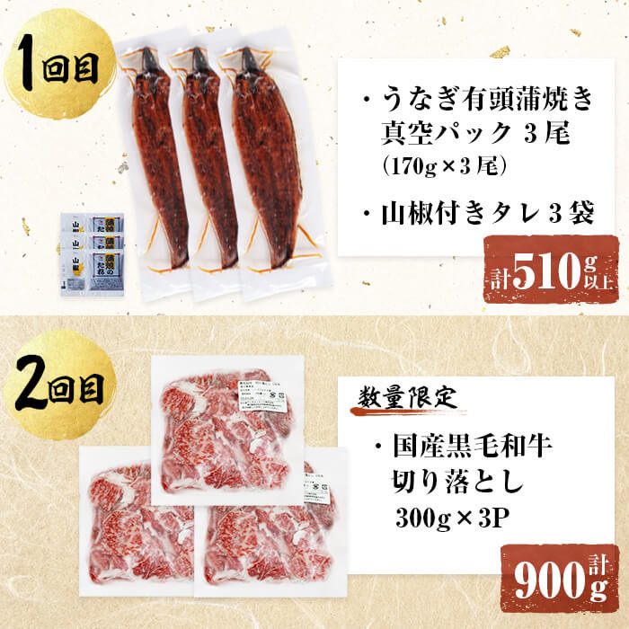 【定期便全6回】鰻と肉の贅沢定期便！鰻とお肉が交互に届くお楽しみ便 t0100-029