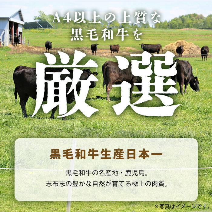 【数量限定】鹿児島県産黒毛和牛サーロインステーキ 200g×4枚 黒毛和牛 和牛 牛肉 A4等級 サーロインステーキ サーロイン ステーキ 霜降り 数量限定 九州産 国産 c0-146