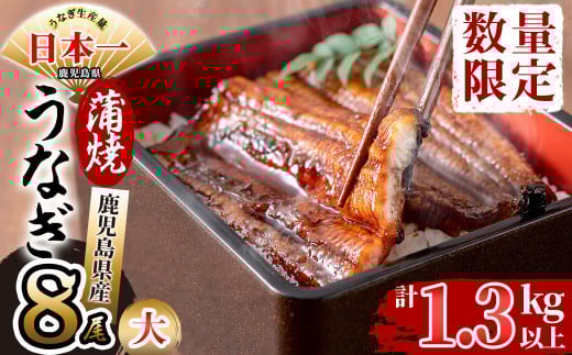 鹿児島県産 伊崎田のうなぎ蒲焼 大＜170g以上＞× 8尾(計1.3kg以上) e4-005