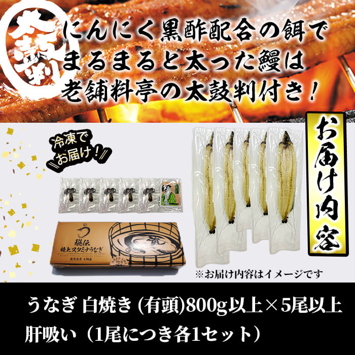 【丑の日までに配送】【訳あり】鹿児島県産！秘伝の特上スタミナうなぎ白焼き＜計800g以上／5尾以上＞肝吸いセット！ d1-008