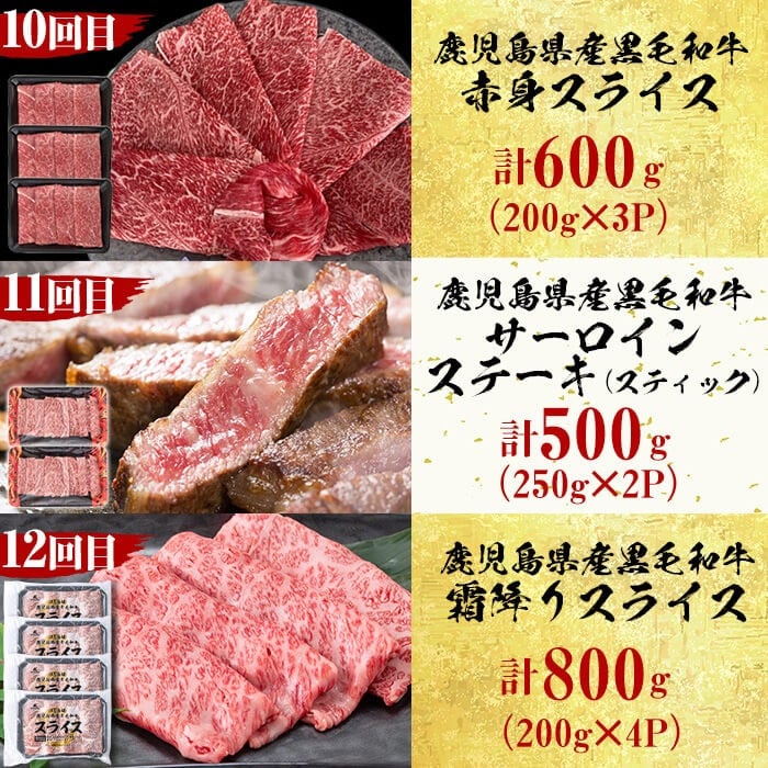 【定期便・全12回】＜A5等級＞鹿児島県産黒毛和牛＆国産牛タン プレミアム！牛肉満喫コース＜計12kg超＞ t026-001