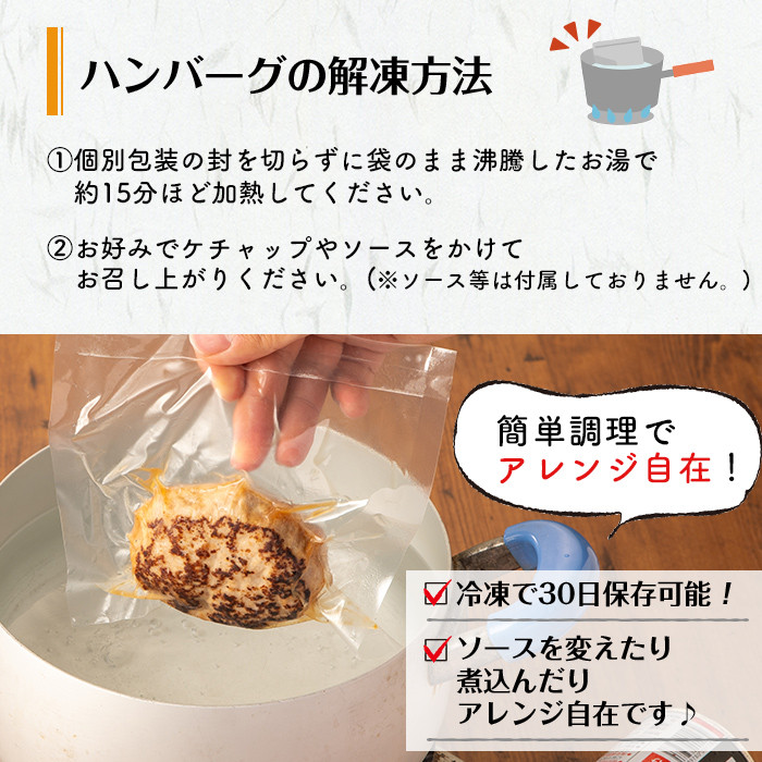 鹿児島県黒豚 100%使用 黒豚ハンバーグ(計1kg・100g×10個) a1-092