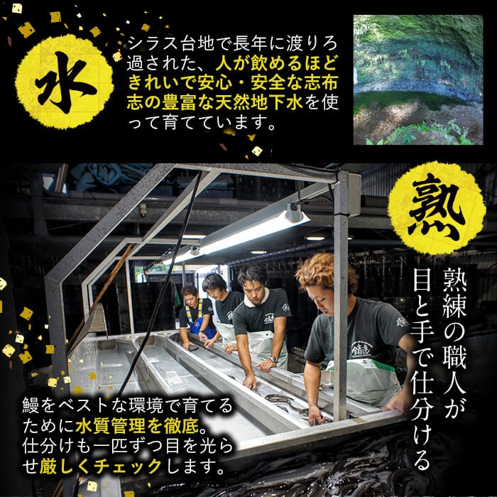 【訳あり】鹿児島県産！秘伝のスタミナうなぎ蒲焼き＜計800g以上／5尾以上＞肝吸いセット！ d0-038