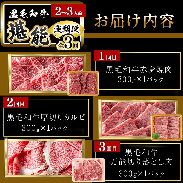 【定期便全3回】＜A4・A5等級＞黒毛和牛堪能〈お試し〉定期便（2〜3人分）総重量900g 鹿児島県産 黒毛和牛 和牛 肉 牛肉 国産 九州産 鹿児島県産 焼肉 焼き肉 BBQ ランキング 人気 A4 A5 赤身 切り落とし カルビ お楽しみ 食べ比べ 2人前 3人前 t0035-002