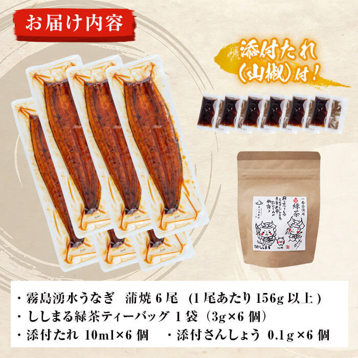 霧島湧水鰻6尾＆ししまるお茶セット 霧島湧水鰻(156g以上×6尾)＆緑茶ティーバッグ(3g×6個) c8-031