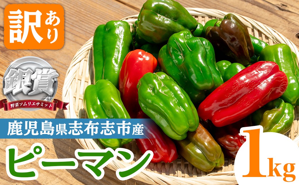 志布志産訳ありピーマン(1kg) p5-050