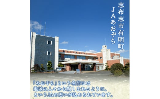 【定期便全2回】紅はるかで作った干し芋＜熟し芋＞計1.6kg(80g×10袋×2ヶ月) t0034-004