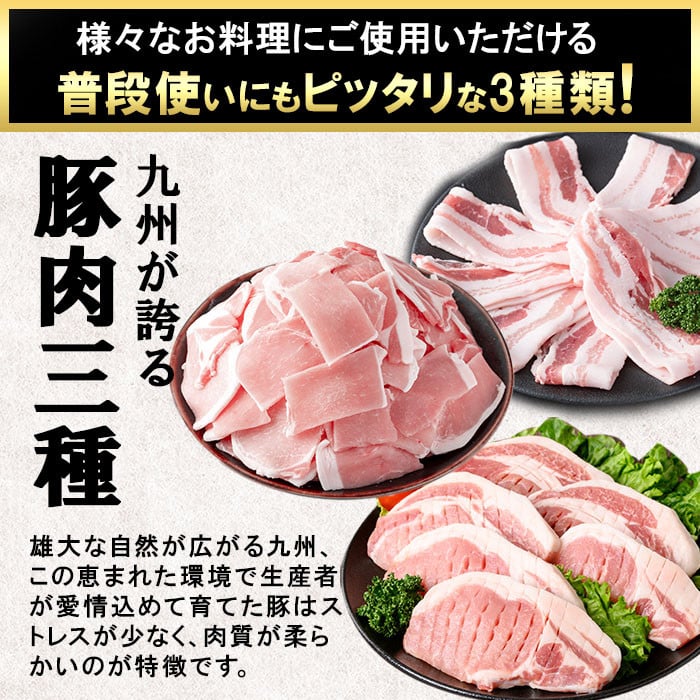 小分け・真空パック!九州産豚肉3種(計3.1kg) a5-319