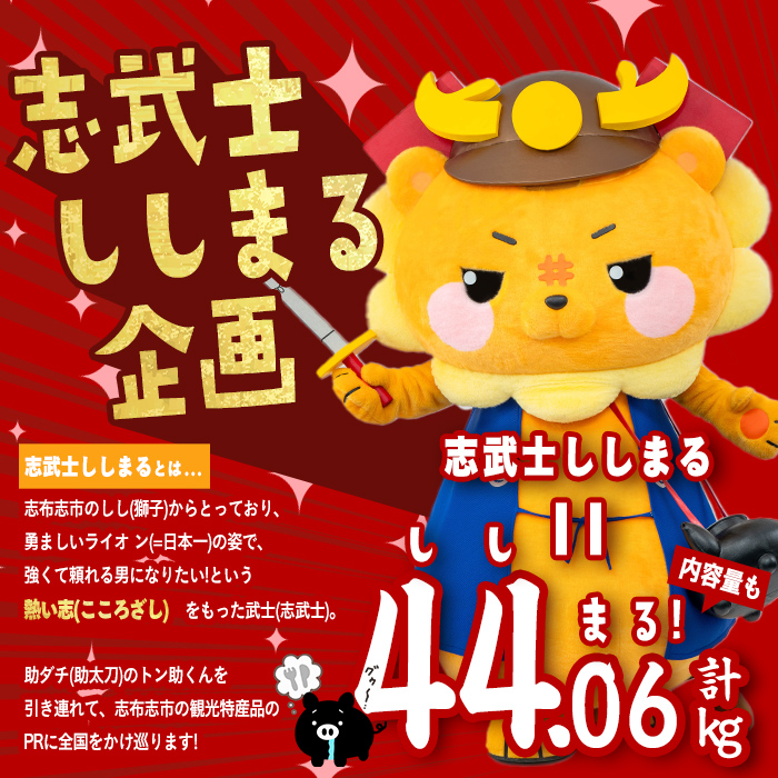 【定期便11ヶ月】ししまる定期便S(11ヶ月連続 月1〜2回お届け！・計44.06kg) 黒毛和牛 黒豚 国産牛 九州産 豚 豚肉 肉 牛肉 国産 4等級 小分け 真空包装 冷凍 t0383-001