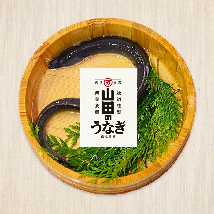 【無薬養鰻】 鹿児島産 山田のうなぎ ＜計960g以上＞ (160g以上×6尾) うなぎ 鰻 ウナギ 無薬 養鰻 無投薬 6尾 国産 九州産 蒲焼き かばやき 冷凍 うな重 ひつまぶし タレ 山椒 c2-014