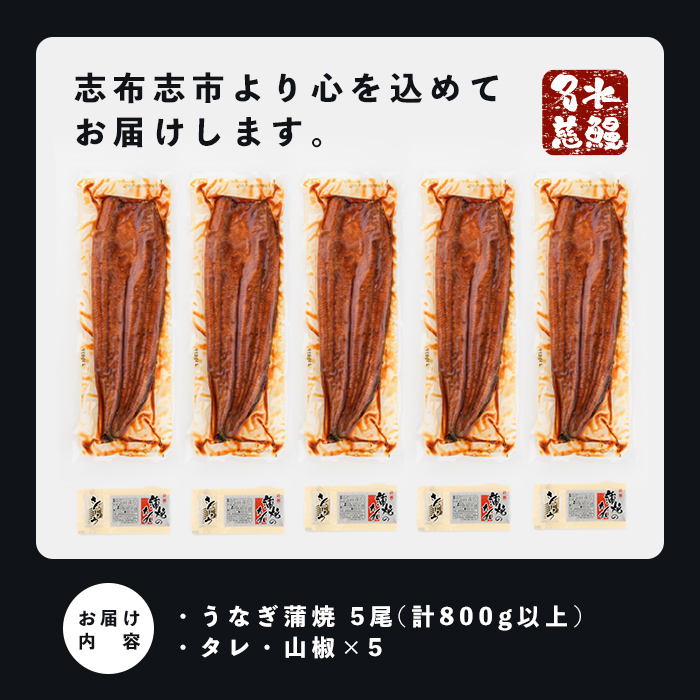 【志布志市制20周年記念】【10営業日以内に発送】鹿児島県産うなぎ蒲焼 名水慈鰻 5尾＜計800g以上＞ うなぎ 鰻 ウナギ 5尾 国産 蒲焼 かばやき 冷凍 真空 真空パック 無頭 うな重 ひつまぶし タレ 山椒 b8-043